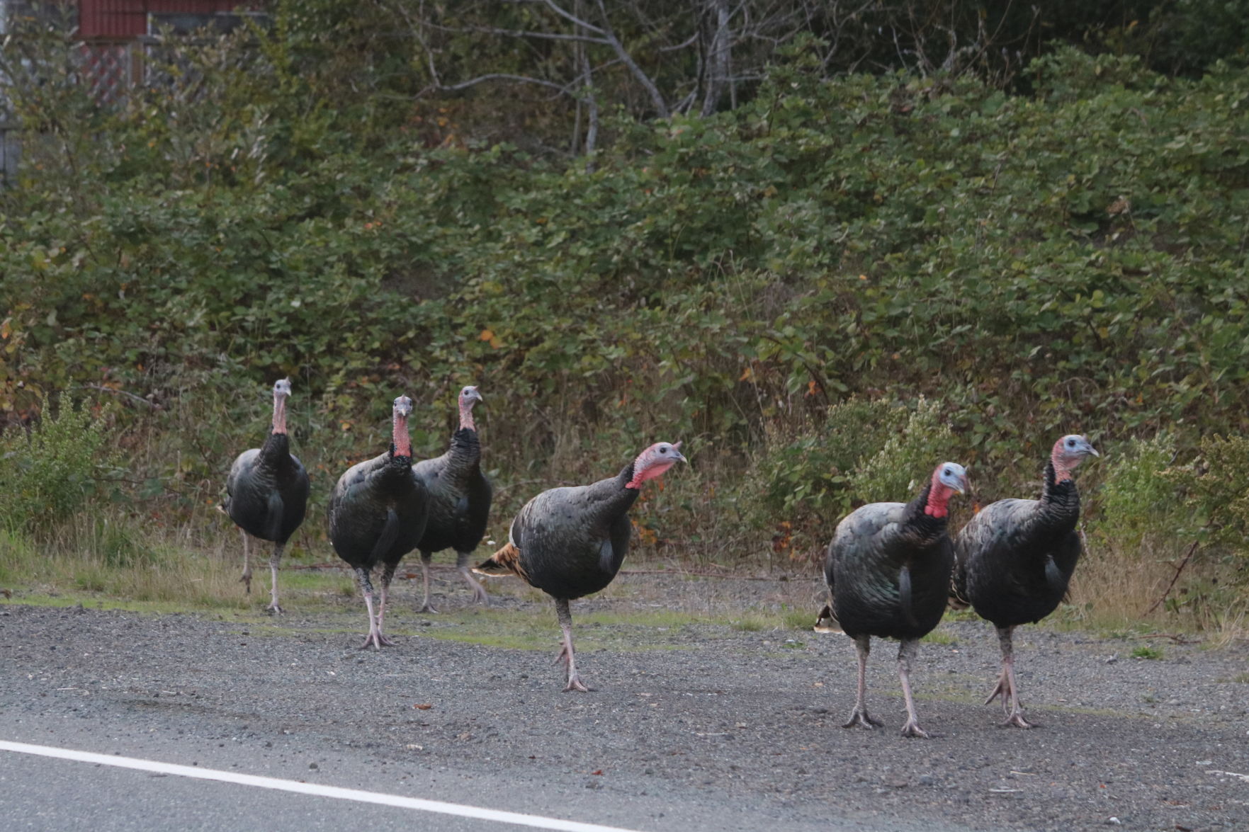 In Formation